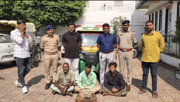 રાજુલામાં ચાર લાખની છેતરપિંડીનો ભેદ ઉકેલાયો: રાજુલા પોલીસના એક્શનથી ડુપ્લિકેટ સોનાની ગેંગ ઝડપાઈ રાજુલામાં ચાર લાખની છેતરપિંડીનો ભેદ ઉકેલાયો: રાજુલા પોલીસના એક્શનથી ડુપ્લિકેટ સોનાની ગેંગ ઝડપાઈ