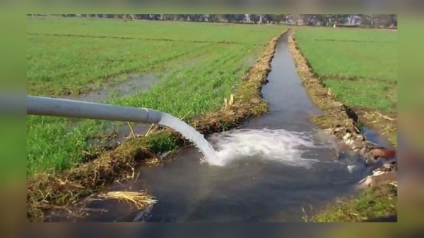 પિયતનું પાણી પિયતનું પાણી