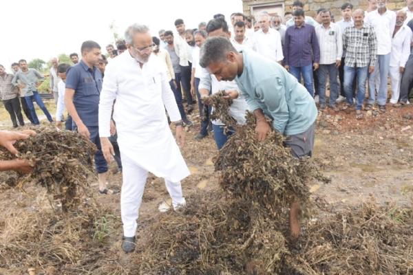 પોરબંદર જિલ્લાના કમોસમી વરસાદગ્રસ્ત વિવિધ ગામોની મુલાકાત કરતા વન અને પર્યાવરણ મંત્રી અર્જુન મોઢવાડિયા.