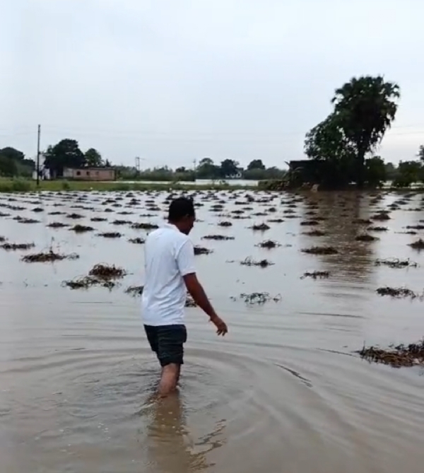 તમામ ખેડૂતો ને