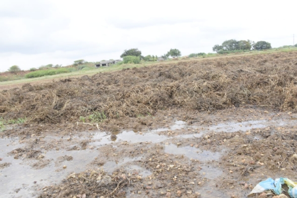 પોરબંદર જિલ્લાના કમોસમી વરસાદગ્રસ્ત વિવિધ ગામોની મુલાકાત કરતા વન અને પર્યાવરણ મંત્રી અર્જુન મોઢવાડિયા.