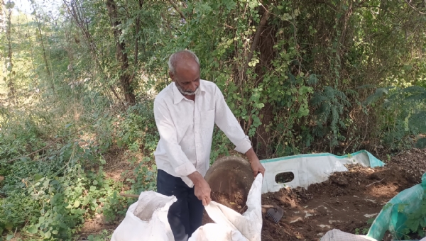 પ્રાકૃતિક ખેતીથી વધારાની આવકનું મોડેલ — દશરથભાઈ પટેલની સફળ સફર