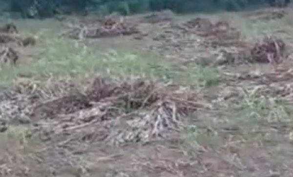 કમોસમી વરસાદથી નુકસાનગ્રસ્ત સરસ્વતી તાલુકાને અસરગ્રસ્ત જાહેર કરવાની માંગ