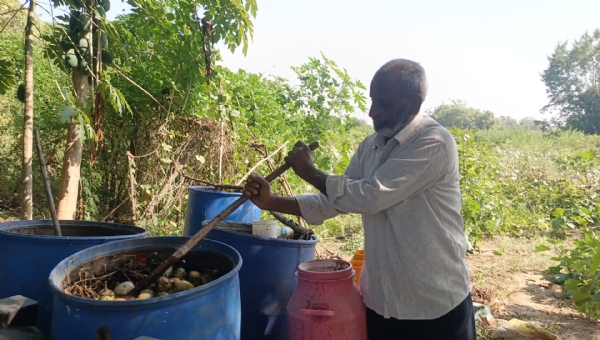 પ્રાકૃતિક ખેતીથી વધારાની આવકનું મોડેલ — દશરથભાઈ પટેલની સફળ સફર