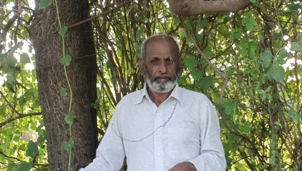 પ્રાકૃતિક ખેતીથી વધારાની આવકનું મોડેલ — દશરથભાઈ પટેલની સફળ સફર