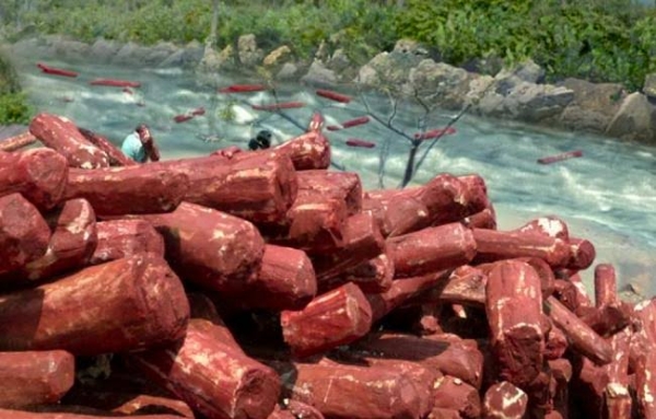 લાલ ચંદન-પ્રતીકાત્મક