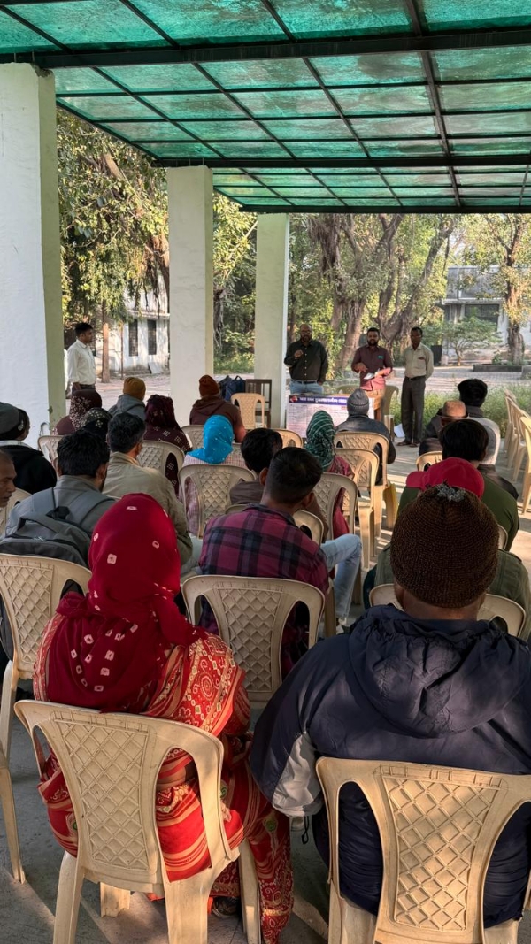 ખાસ સઘન સુધારણા