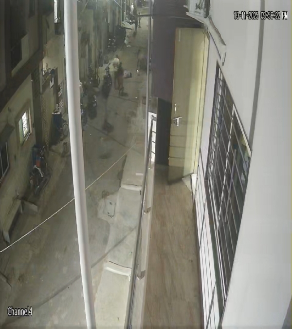 પોરબંદરમા આખલાએ મહિલાનો ભોગ લીધો.