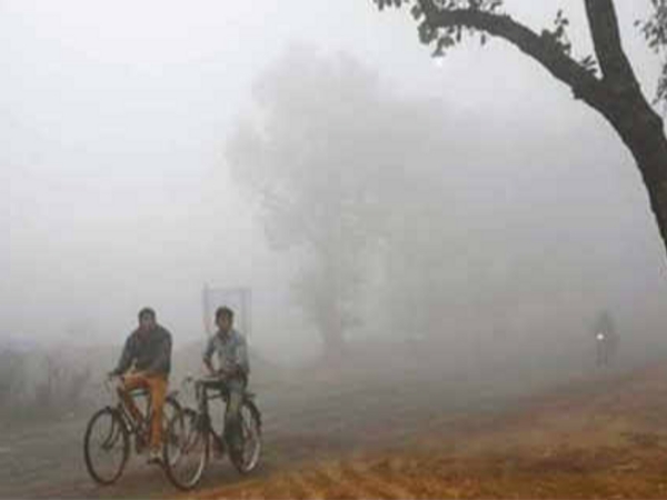 Naliya is the coldest city in the state with a temperature of 11.6 degrees.