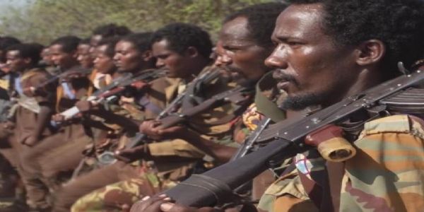 ઇથોપિયાના મેટેકેલ ઝોનમાં ઓરોમો લિબરેશન આર્મીના હુમલામાં 40 થી વધુ લોકો માર્યા ગયા