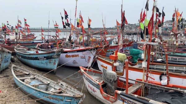 માછીમારોને ડીઝલ પર સ્પેશિયલ સ્કીમ અથવા  એકસાઈઝ ડયુટીફ્રી ડીઝલ આપવા રજુઆત. માછીમારોને ડીઝલ પર સ્પેશિયલ સ્કીમ અથવા  એકસાઈઝ ડયુટીફ્રી ડીઝલ આપવા રજુઆત.