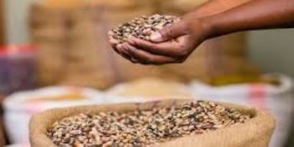 વાજબી ભાવના દુકાનદારોને વિતરણની કામગીરી શરૂ કરવા અને સહયોગ આપવા અગ્ર સચિવની અપીલ