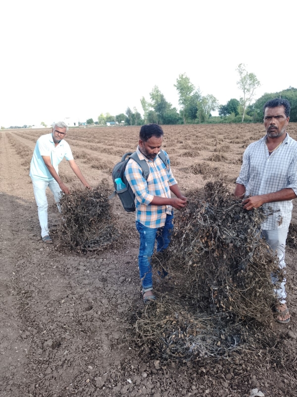 પોરબંદર જિલ્લામાં કમોસમી વરસાદના કારણે થયેલ નુકસાનીનુ 44 ટીમો દ્વારા સર્વેની કામગીરી પૂરજોશમાં પોરબંદર જિલ્લામાં કમોસમી વરસાદના કારણે થયેલ નુકસાનીનુ 44 ટીમો દ્વારા સર્વેની કામગીરી પૂરજોશમાં