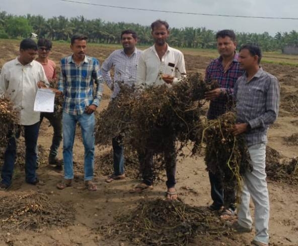 ગીર સોમનાથ જિલ્લામાં ૪૯ ટીમ દ્વારા