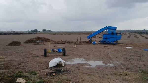 કમોસમી વરસાદ થી મિયાણી અને ભાવપરા ગામના ખેડૂતો થયા બરબાદ. કમોસમી વરસાદ થી મિયાણી અને ભાવપરા ગામના ખેડૂતો થયા બરબાદ.