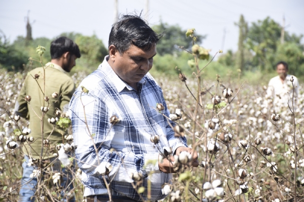 મુખ્યમંત્રી ભૂપેન્દ્ર પટેલની ત્વરિત સૂચના, સુરેન્દ્રનગરમાં માવઠાના પાક નુકસાનનો સર્વે પૂર્ણ મુખ્યમંત્રી ભૂપેન્દ્ર પટેલની ત્વરિત સૂચના, સુરેન્દ્રનગરમાં માવઠાના પાક નુકસાનનો સર્વે પૂર્ણ