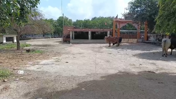 કુણવદર ગામે ભાજપના નેતાઓને પ્રવેશ પર પ્રતિબંધ. કુણવદર ગામે ભાજપના નેતાઓને પ્રવેશ પર પ્રતિબંધ.