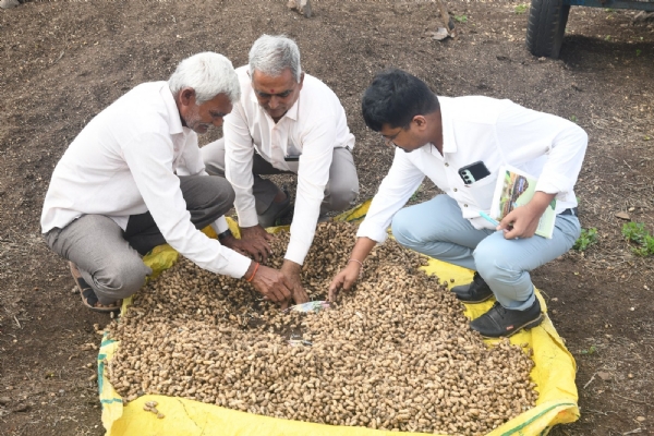 પડધરી તાલુકાના 50 ગામોમાં સર્વે પૂર્ણ, બાકીનાં ગામો એકાદ-બે દિવસમાં જ આવરી લેવાશે