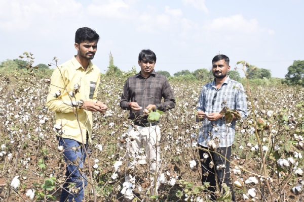 જગતના તાત પ્રત્યેની સંવેદના, કમોસમી વરસાદના નુકસાનનો સર્વે યુદ્ધના ધોરણે પૂર્ણ