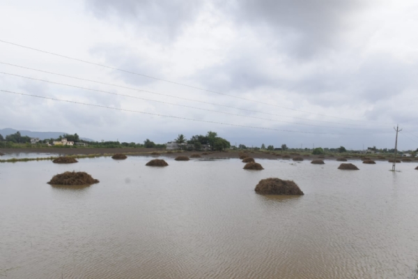 કમોસમી વરસાદને કારણે ખેડૂતોની સાથે પરપ્રાંતિયો ડૂબ્યા. કમોસમી વરસાદને કારણે ખેડૂતોની સાથે પરપ્રાંતિયો ડૂબ્યા.