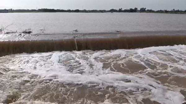 પોરબંદર જિલ્લા માં કુલ 45 ઈંચ વરસાદ નોંધાયો.