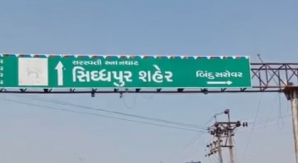 સિધ્ધપુર કાર્તિકી પૂનમ મેળામાં ટ્રકમાંથી ઊંટોની કરુણ મુક્તિ સિધ્ધપુર કાર્તિકી પૂનમ મેળામાં ટ્રકમાંથી ઊંટોની કરુણ મુક્તિ