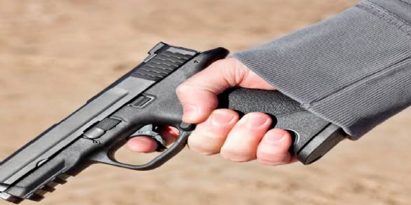 સુરતમાં મહિલા RFOને માથામાં ગોળી વાગવાની રહસ્યમય ઘટના