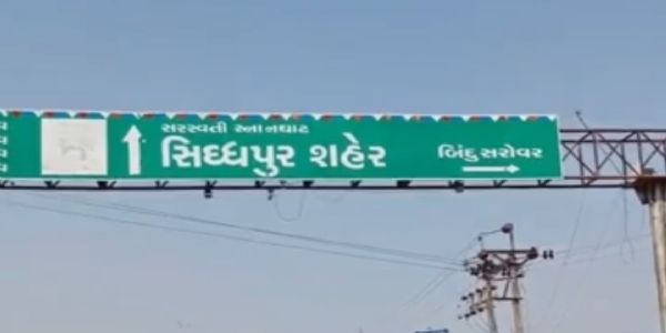 સિધ્ધપુર કાર્તિકી પૂનમ મેળામાં ટ્રકમાંથી ઊંટોની કરુણ મુક્તિ