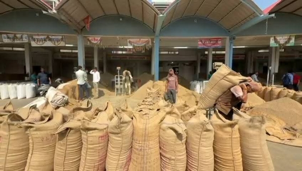 કમોસમી વરસાદ બાદ ઊંઝા માર્કેટ યાર્ડમાં જીરાના ભાવમાં વધારો