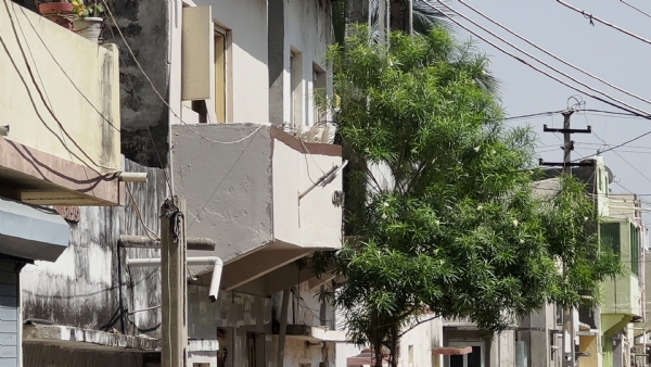 પોરબંદર માં ધોળા દિવસે સ્ટ્રીટ લાઈટના અજવાળા. પોરબંદર માં ધોળા દિવસે સ્ટ્રીટ લાઈટના અજવાળા.