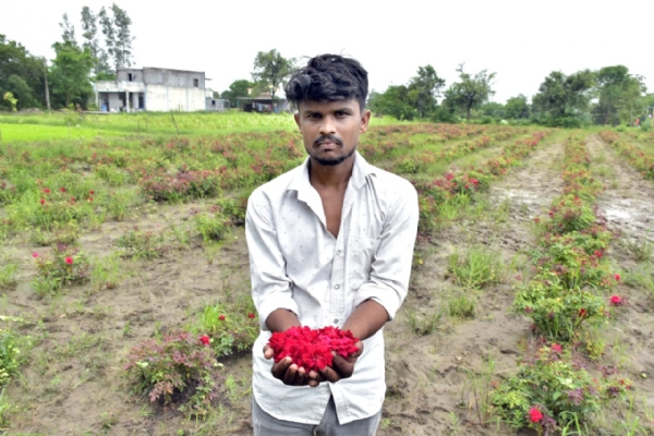 એક વિઘામાં કાશ્મીરી લાલ ગુલાબથી દોઢ લાખની કમાણી — યુવા ખેડૂત અજન ચૌહાણ બન્યા પ્રેરણાસ્ત્રોત
