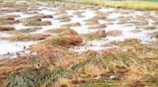 રાજ્ય સરકારની પાક નુકસાની માટે 10 હજાર કરોડની જાહેરાત,મુખ્યમંત્રીએ એક્સ પર પોસ્ટ કરી માહિતી રાજ્ય સરકારની પાક નુકસાની માટે 10 હજાર કરોડની જાહેરાત,મુખ્યમંત્રીએ એક્સ પર પોસ્ટ કરી માહિતી