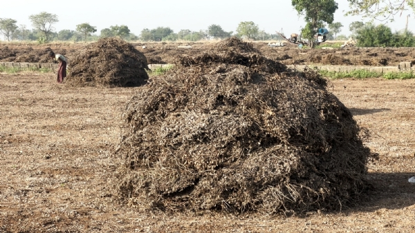 સરકારના સહાય પેકેજને લઈને ખેડૂતોમાં આક્રોશ. સરકારના સહાય પેકેજને લઈને ખેડૂતોમાં આક્રોશ.