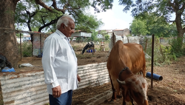 નિવૃત્તિ બાદ પ્રાકૃતિક ખેતી અને દેશી ગૌપાલનથી નવો અધ્યાય લખનાર મહેસાણાના 70 વર્ષીય ડૉક્ટર નટવરદાન ગઢવી નિવૃત્તિ બાદ પ્રાકૃતિક ખેતી અને દેશી ગૌપાલનથી નવો અધ્યાય લખનાર મહેસાણાના 70 વર્ષીય ડૉક્ટર નટવરદાન ગઢવી
