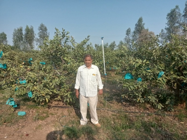 ખેડૂત અમૃતભાઈ ખેડૂત અમૃતભાઈ