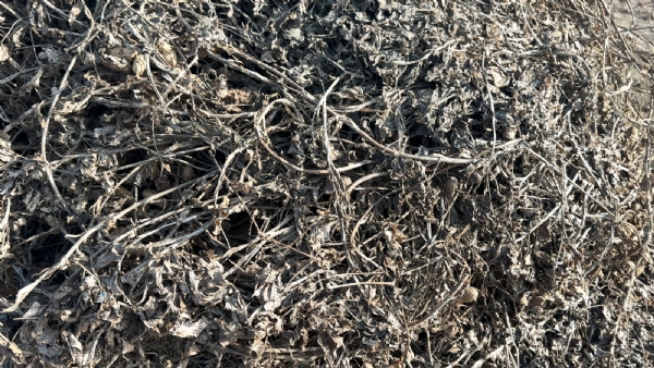 સરકારના સહાય પેકેજને લઈને ખેડૂતોમાં આક્રોશ. સરકારના સહાય પેકેજને લઈને ખેડૂતોમાં આક્રોશ.