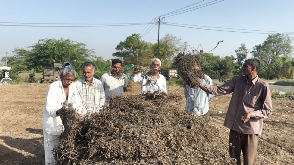 સરકારના સહાય પેકેજને લઈને ખેડૂતોમાં આક્રોશ. સરકારના સહાય પેકેજને લઈને ખેડૂતોમાં આક્રોશ.