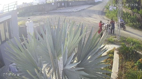 પોરબંદરમાં મધમાખીના ઝુંડના હુમલાથી લોકોમાં નાશભાગ.