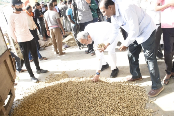 કેબિનેટ મંત્રી અર્જુન મોઢવાડિયાએ ટેકાના ભાવે મગફળી ખરીદીનો શુભારંભ કરાવ્યો. કેબિનેટ મંત્રી અર્જુન મોઢવાડિયાએ ટેકાના ભાવે મગફળી ખરીદીનો શુભારંભ કરાવ્યો.