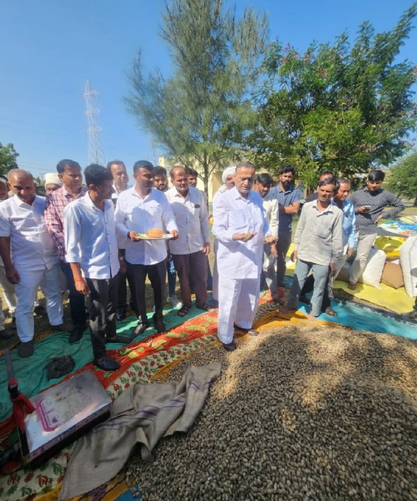 પ્રાસલી માં ટેકા ના ભાવે થી મગફળી –સોયાબીન ખરીદી નો શુભારંભ પ્રાસલી માં ટેકા ના ભાવે થી મગફળી –સોયાબીન ખરીદી નો શુભારંભ