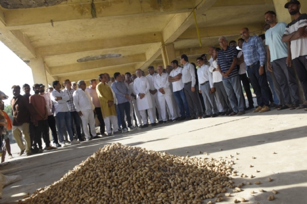 કેબિનેટ મંત્રી અર્જુન મોઢવાડિયાએ ટેકાના ભાવે મગફળી ખરીદીનો શુભારંભ કરાવ્યો. કેબિનેટ મંત્રી અર્જુન મોઢવાડિયાએ ટેકાના ભાવે મગફળી ખરીદીનો શુભારંભ કરાવ્યો.