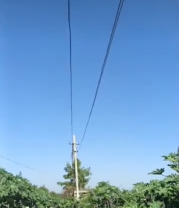 હારીજ તાલુકાના ગોવના ગામે ખેતરમાં તૂટેલા વાયરથી કરંટ લાગતા ભેંસનું મોત હારીજ તાલુકાના ગોવના ગામે ખેતરમાં તૂટેલા વાયરથી કરંટ લાગતા ભેંસનું મોત