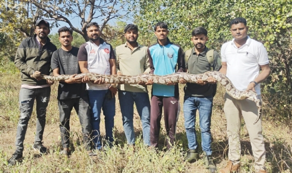 નર્મદા જિલ્લાના કોલીવાડા ગામે ખેતરમાં ઇજાગ્રસ્ત અજગરને સીપીઆર આપી જીવ બચાવ્યો નર્મદા જિલ્લાના કોલીવાડા ગામે ખેતરમાં ઇજાગ્રસ્ત અજગરને સીપીઆર આપી જીવ બચાવ્યો