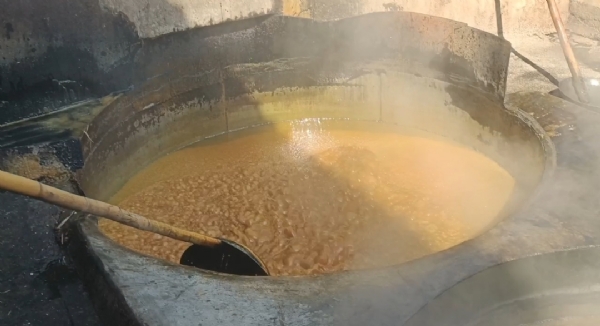 ખેડૂતો ઓર્ગેનિક ગોળ ની સાથે સાથે ડ્રાયફ્રુટ ગોળ ખેડૂતો ઓર્ગેનિક ગોળ ની સાથે સાથે ડ્રાયફ્રુટ ગોળ