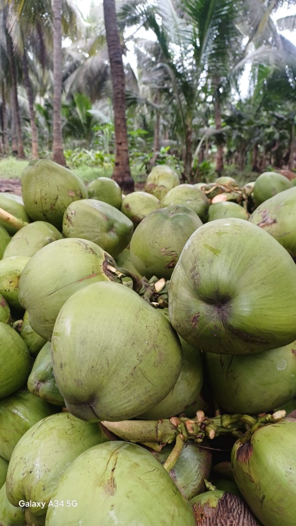 પ્રથમ ખેડૂત જેમણે પ્રાકૃતિક ખેતીના વેચાણ માટે ઈ-માર્કેટ બનાવ્યુ પ્રથમ ખેડૂત જેમણે પ્રાકૃતિક ખેતીના વેચાણ માટે ઈ-માર્કેટ બનાવ્યુ