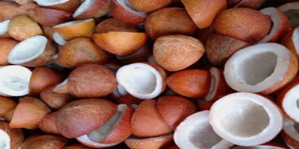 કેન્દ્ર સરકારે નારિયેળ માટે એમએસપી માં વધારો કર્યો