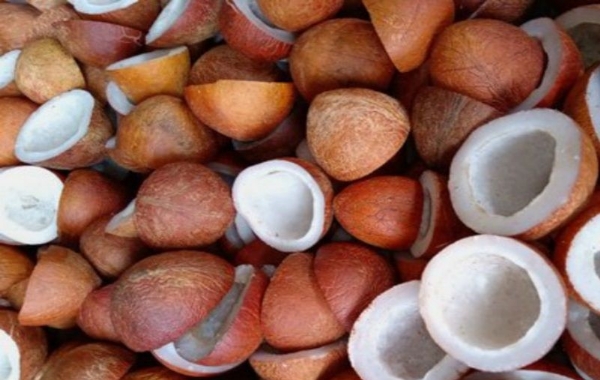 નારિયેળના ગોળા