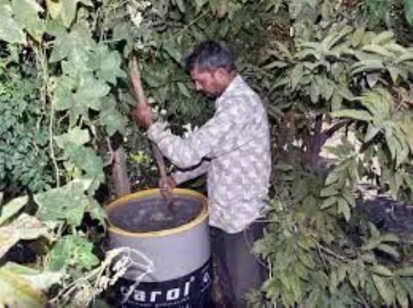 અમરેલી જિલ્લામાં પ્રાકૃતિક ખેતી કરતા ખેડૂતોએ તાત્કાલિક નોંધણી કરાવવા અપીલ અમરેલી જિલ્લામાં પ્રાકૃતિક ખેતી કરતા ખેડૂતોએ તાત્કાલિક નોંધણી કરાવવા અપીલ