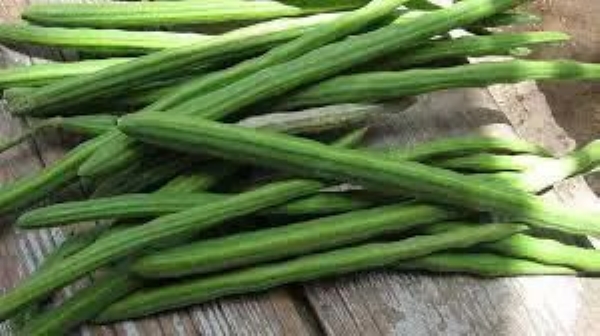 અમરેલી બાળ વૈજ્ઞાનિક પ્રદર્શનમાં ‘સરગવો એ જ સંજીવની’ કૃતિનું વિશેષ બહુમાન અમરેલી બાળ વૈજ્ઞાનિક પ્રદર્શનમાં ‘સરગવો એ જ સંજીવની’ કૃતિનું વિશેષ બહુમાન