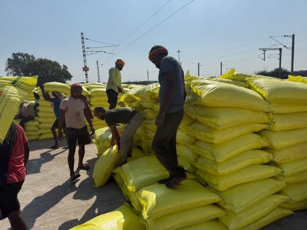 યુરિયા ખાતરનો જથ્થો યુરિયા ખાતરનો જથ્થો
